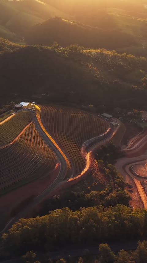 Vista aérea real dos vinhedos e do terreno do Videiras ao fim da tarde