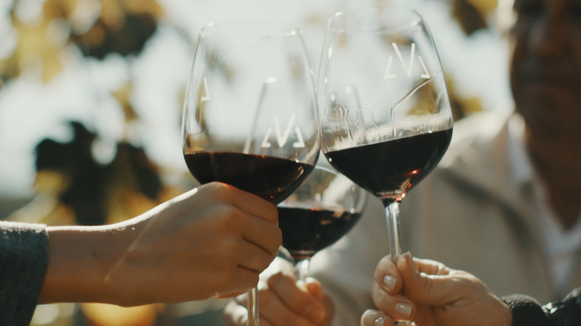 Um brinde com taças da Vinícola Maturano
